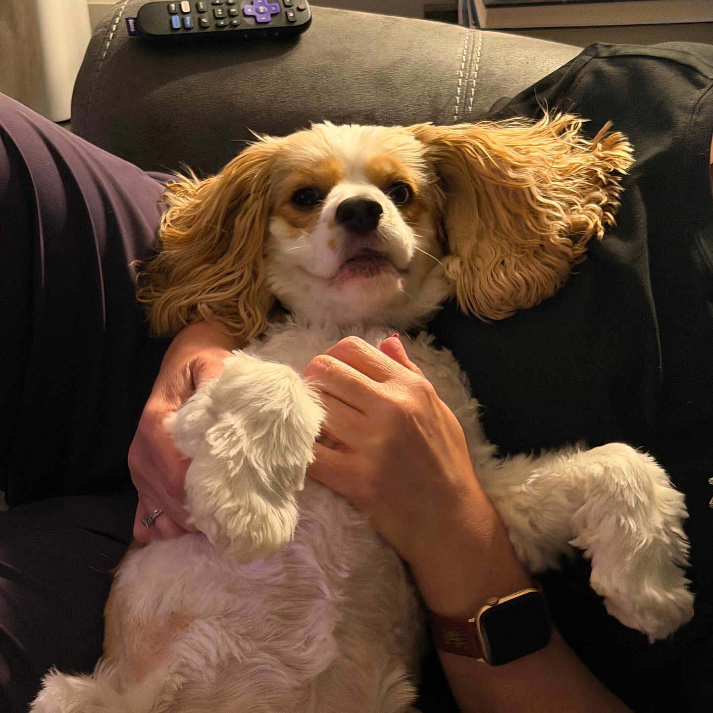 Bella
