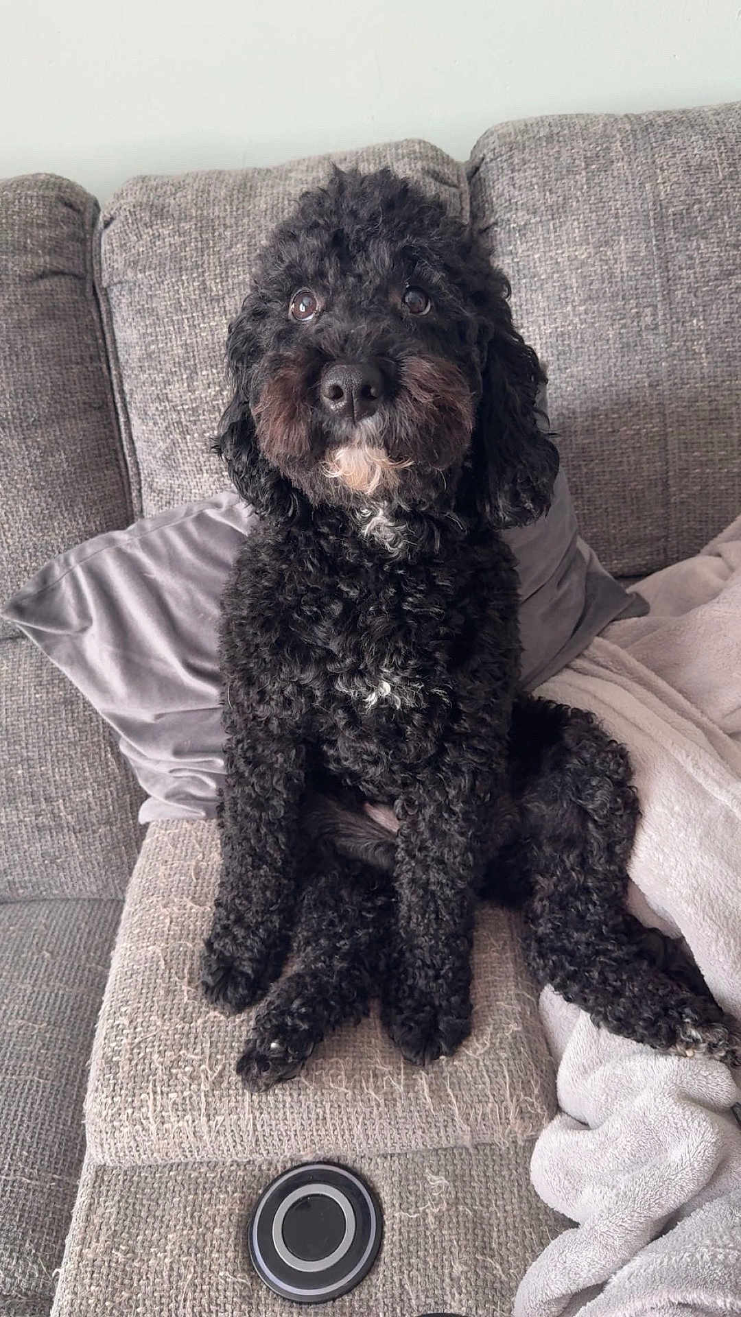 Luna