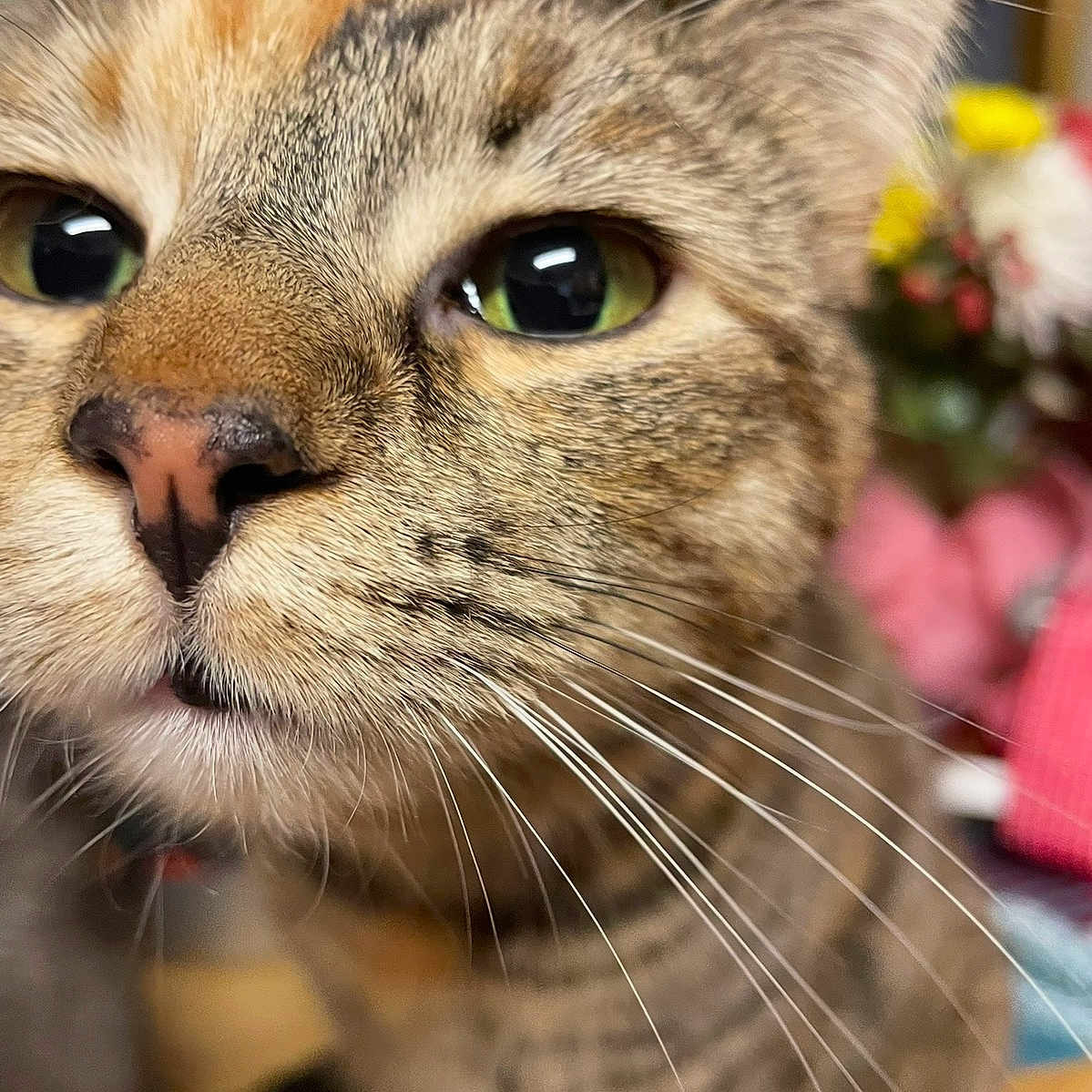 Kiska