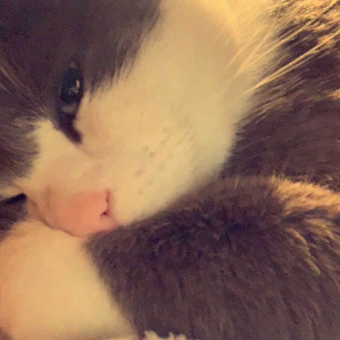 Clyde