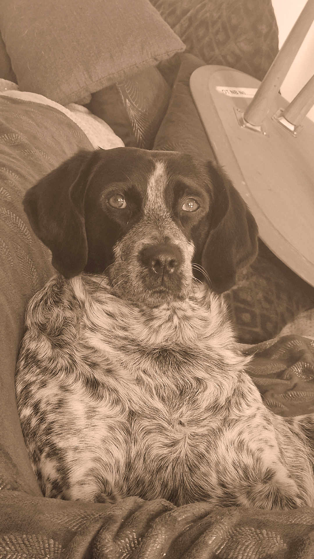 Raïka