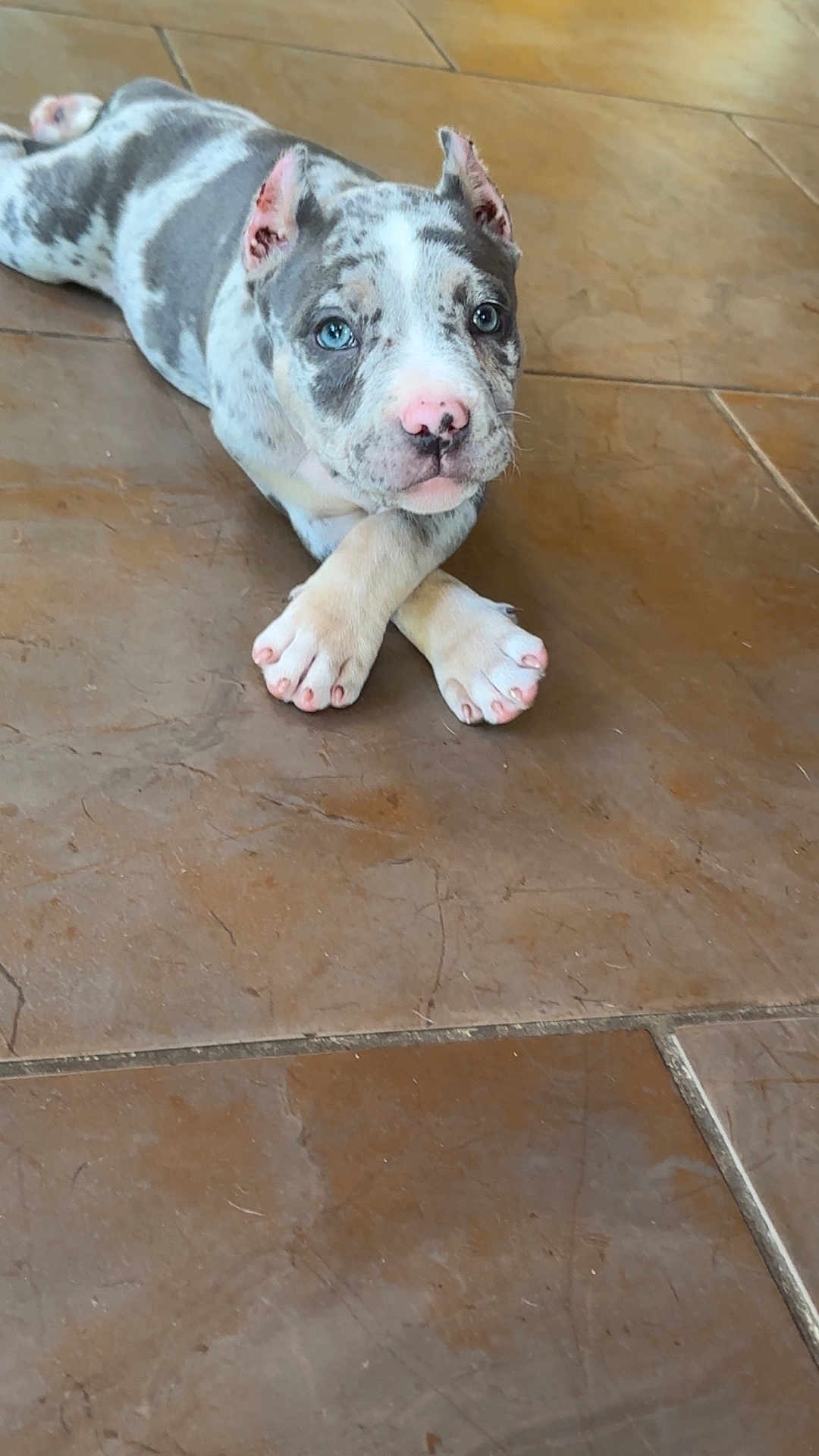 Kilo