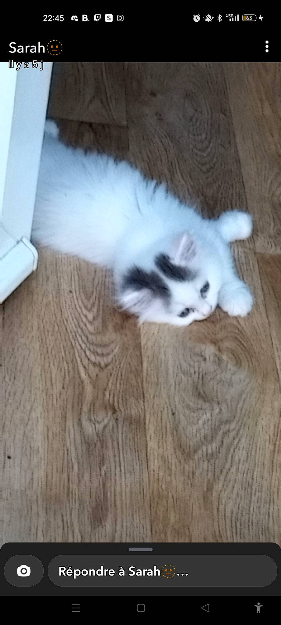 Maïa participe au concours pour gagner de l'argent avec cette photo : carnivore, cat, comfort, domestic_short_haired_cat, felidae, floor, flooring, fur, hardwood, laminate_flooring, paw, plank, plywood, small_to_medium_sized_cats, tail, varnish, whiskers, wood, wood_flooring, wood_stain