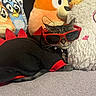 cat, sunglasses, plush_toy, stuffed_animal, costume, black_clothing, red_accent, unicorn, dog_cartoon, indoor, cozy, resting, pet, animal, cute, relaxed, feline, soft_texture, colorful, funny