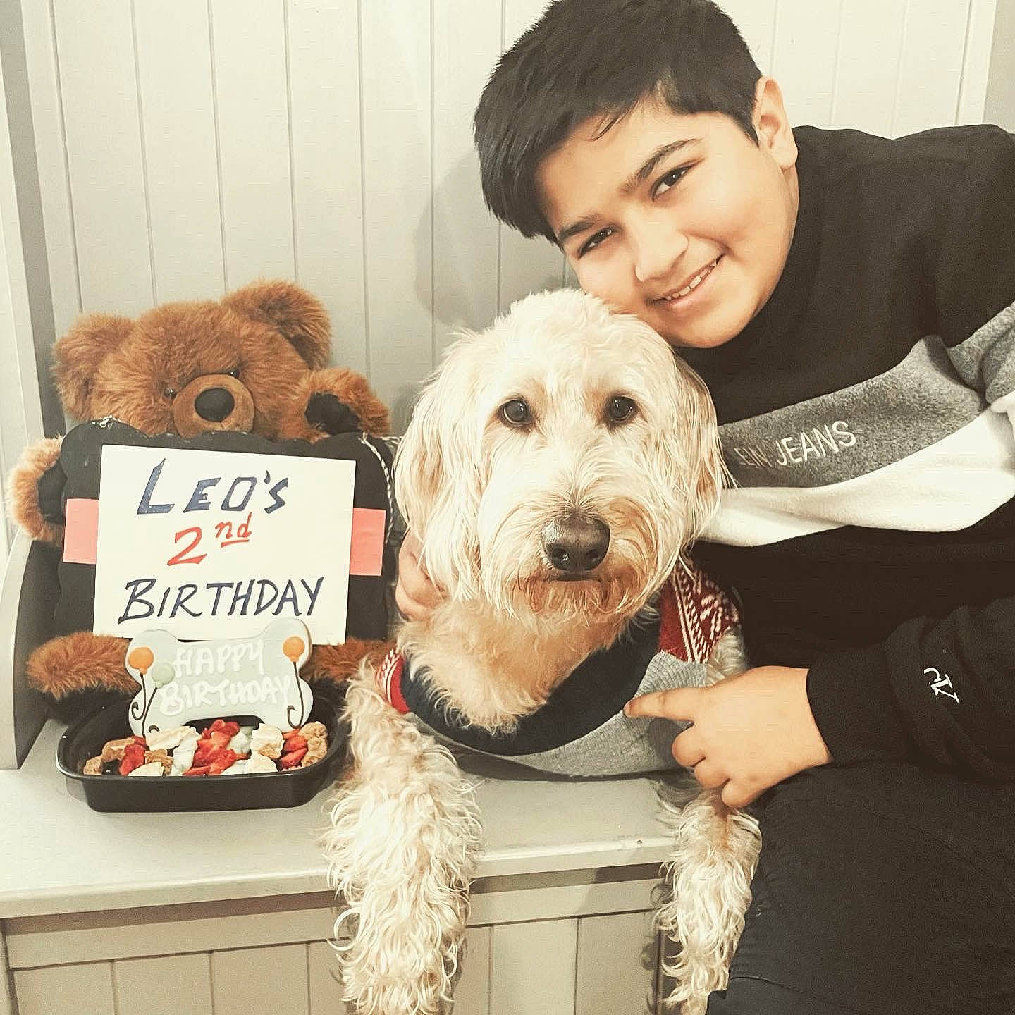 Leo is registered to the contest to win money with this photo: bow_tie, canidae, carnivore, companion_dog, dog, dog_breed, dog_collar, fur, happy, head, labradoodle, mammal, puppy_love, small_terrier, smile, snout, sporting_group, terrier, toy, toy_dog