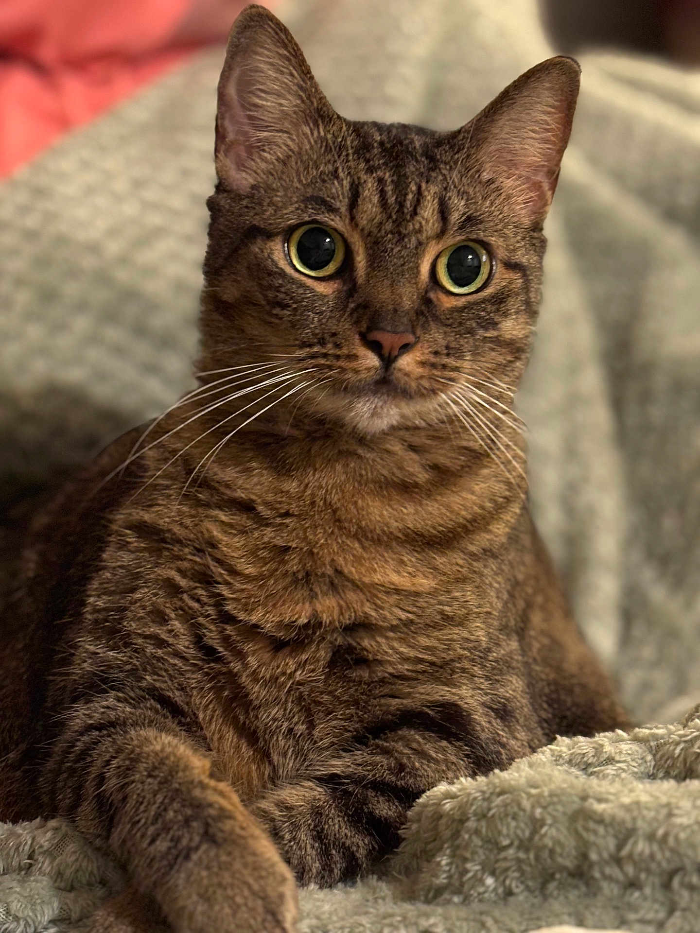 Elizabeth