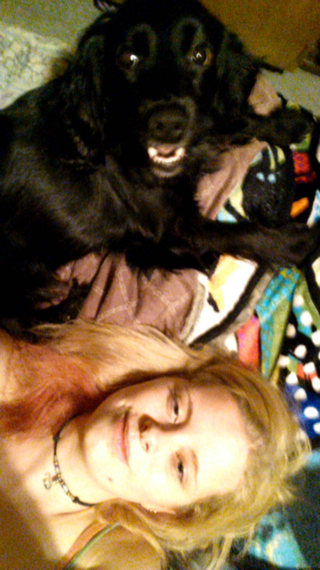 Stormy is registered to the contest to win money with this photo: borador, canidae, carnivore, companion_dog, dog, dog_breed, fur, gesture, guard_dog, happy, mammal, selfie, snout, sporting_group, vertebrate, whiskers, working_animal, working_dog, wrinkle