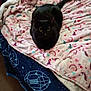 black_cat, cat, bed, blanket, rainbow_pattern, heart_pattern, geometric_pattern, cozy, indoor, animal, pet, feline, resting, yellow_eyes, fur, whiskers, tail, soft_texture, colorful, patterned