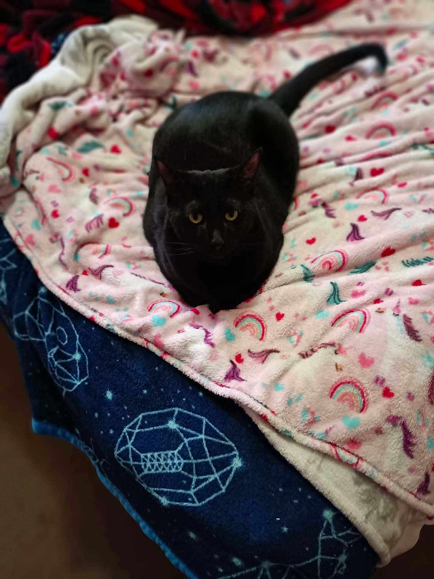 Sebastian
