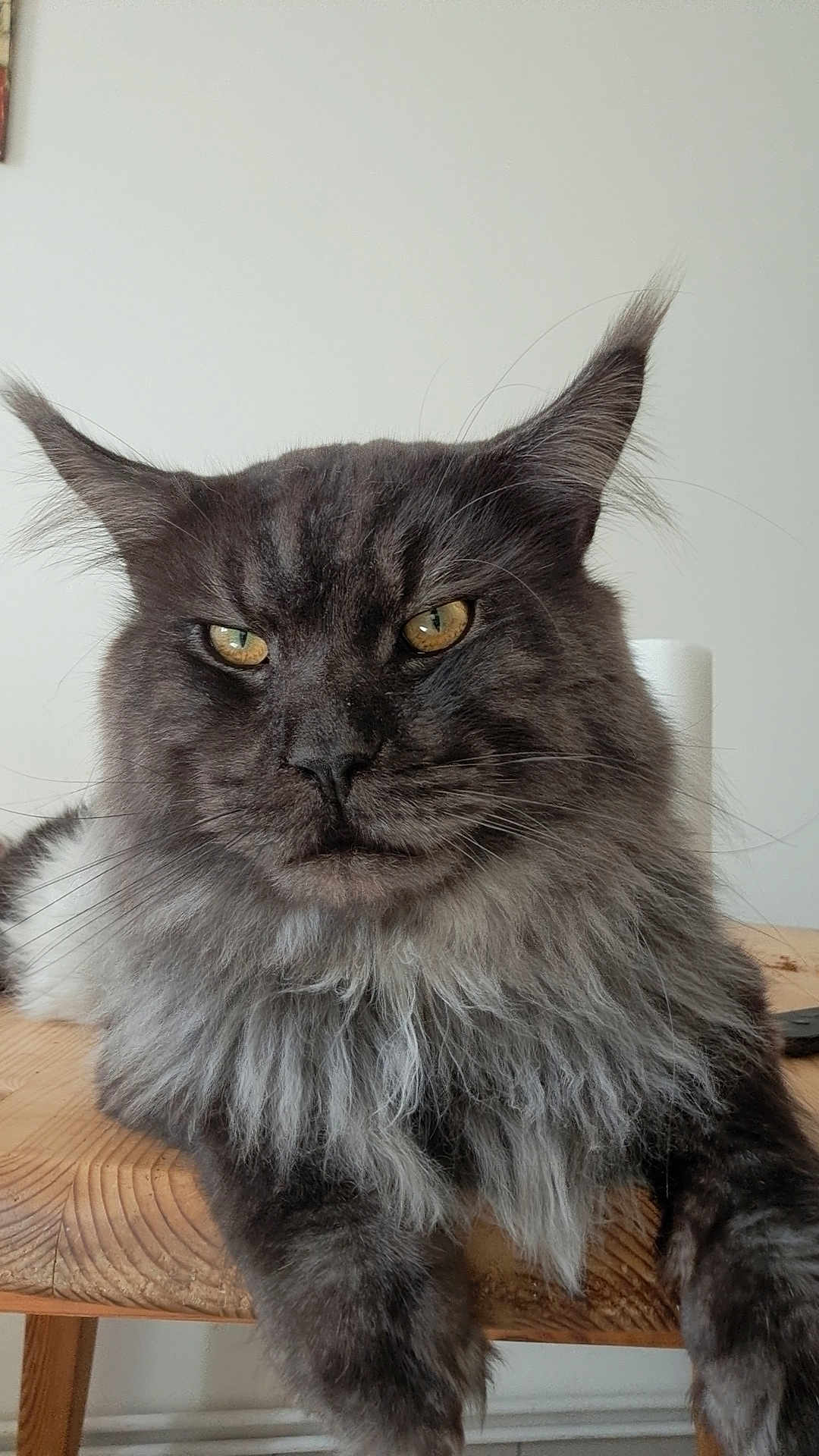 Cyrius
