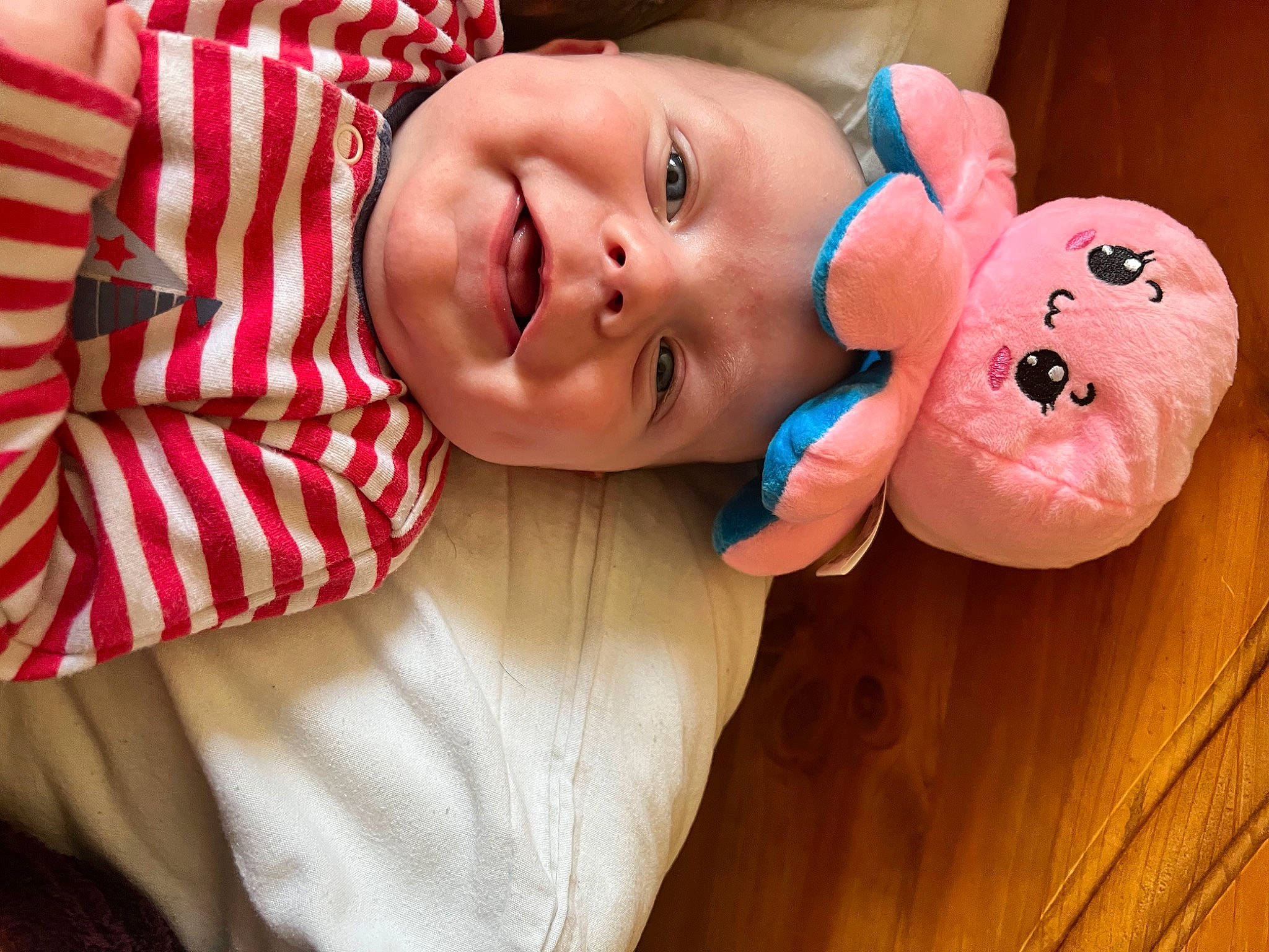 Mason is registered to the contest to win money with this photo: baby, baby_toddler_clothing, cheek, child, chin, eye, face, fun, happy, hardwood, head, nose, person, plaid, skin, sleeve, smile, stuffed_toy, toddler, toy