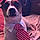 Jessy