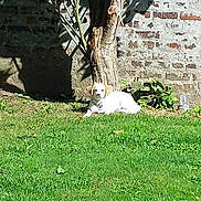 Roxy participe au concours pour gagner de l'argent avec cette photo :