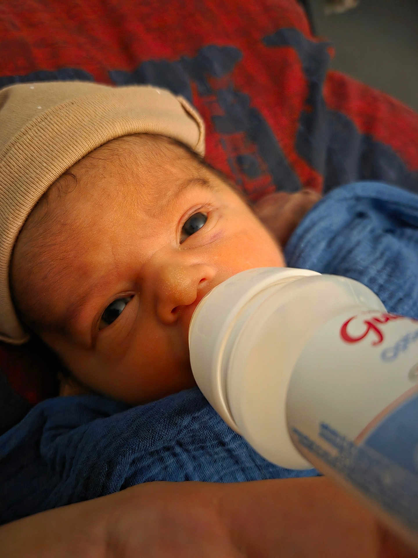 Raphaël a rejoint le concours — aidez-le/la à gagner de superbes lots ! baby, newborn, infant, feeding_bottle, bottle, hat, swaddle, blanket, close_up, portrait, face, eyes, hand, mouth, skin, lying_down, cozy, indoors, text_on_bottle, background_fabric