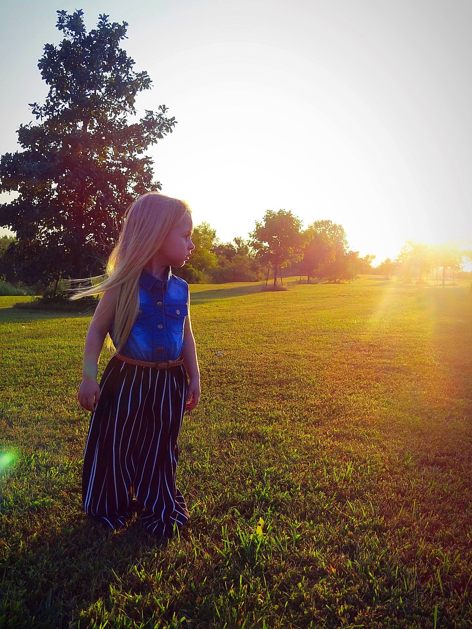 Emma is registered to the contest to win money with this photo: backlighting, beauty, blond, dress, fashion, grass, hair, lady, lens_flare, light, long_hair, meadow, people_in_nature, person, photography, purple, sky, spring, summer, sunlight