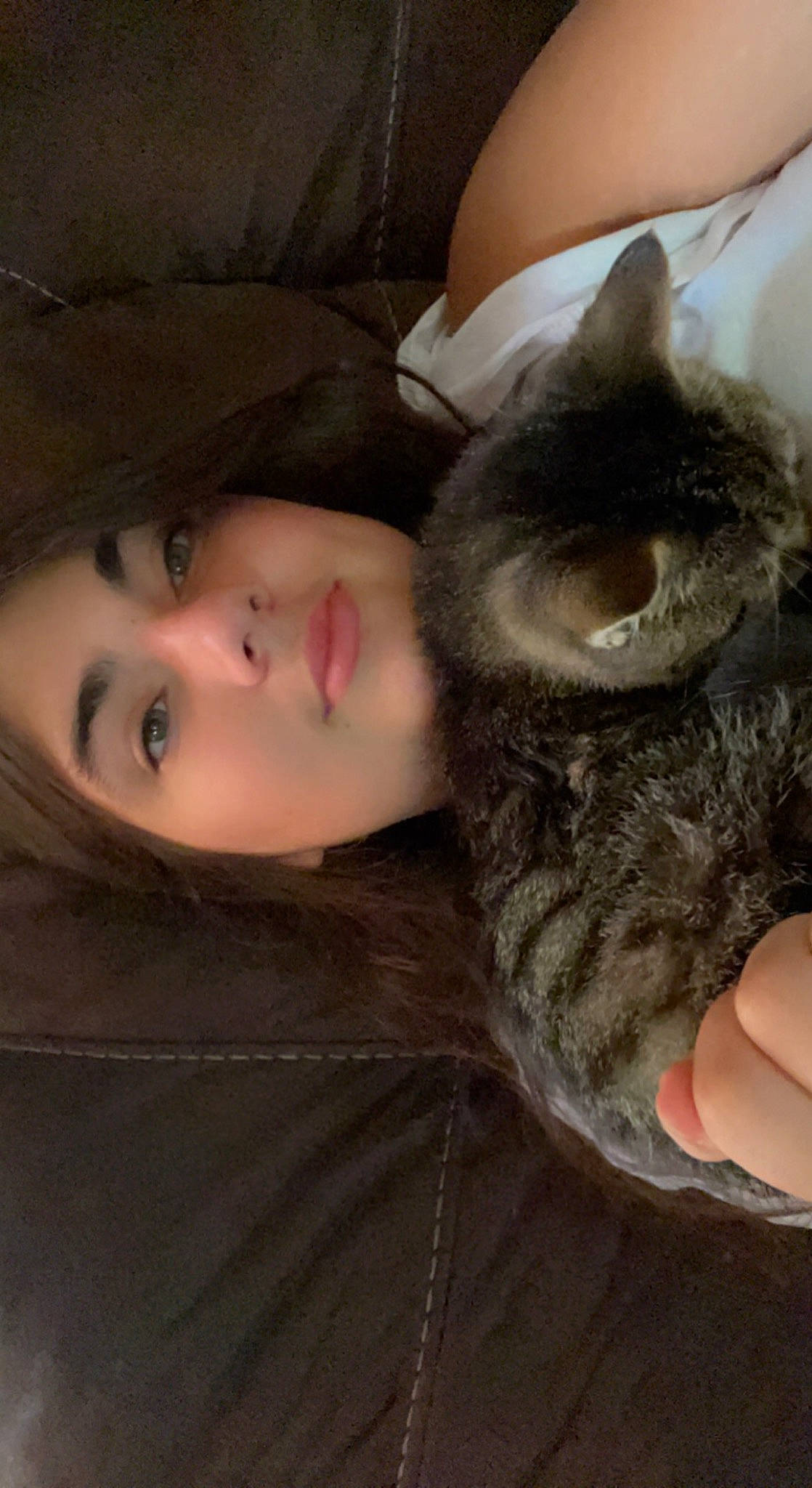 Monkey joined the competition — help win amazing prizes! black_cat, carnivore, cat, comfort, domestic_short_haired_cat, ear, eyelash, fawn, felidae, fur, headgear, iris, nose, organ, selfie, skin, small_to_medium_sized_cats, snout, tail, whiskers