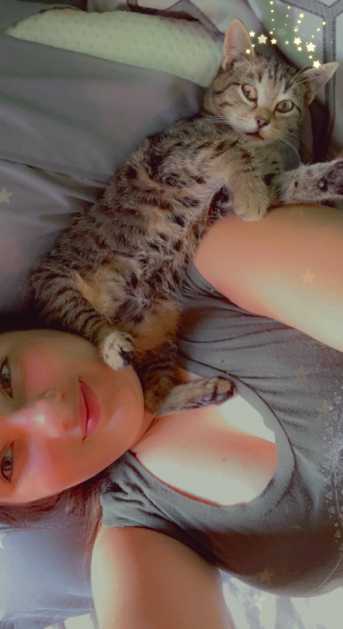 Monkey is registered to the contest to win money with this photo: abdomen, bed, carnivore, cat, chest, claw, comfort, couch, domestic_short_haired_cat, eyelash, felidae, fur, human_leg, knee, paw, sitting, small_to_medium_sized_cats, tail, thigh, whiskers