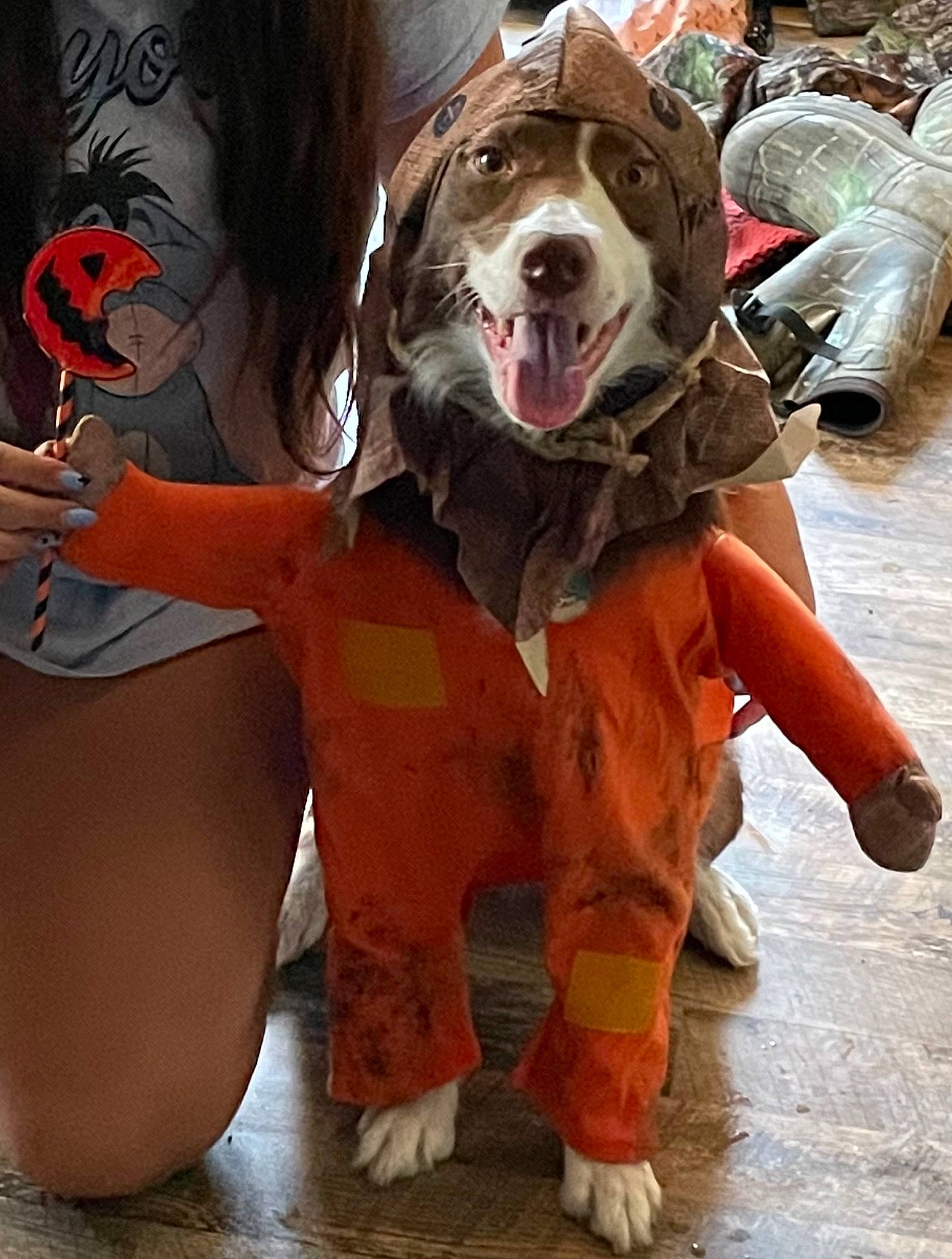 Blair joined the competition — help win amazing prizes! art, canidae, carnivore, companion_dog, dog, dog_breed, dog_clothes, fawn, fictional_character, fun, fur, happy, hat, leash, mascot, personal_protective_equipment, smile, snout, working_animal, zombie