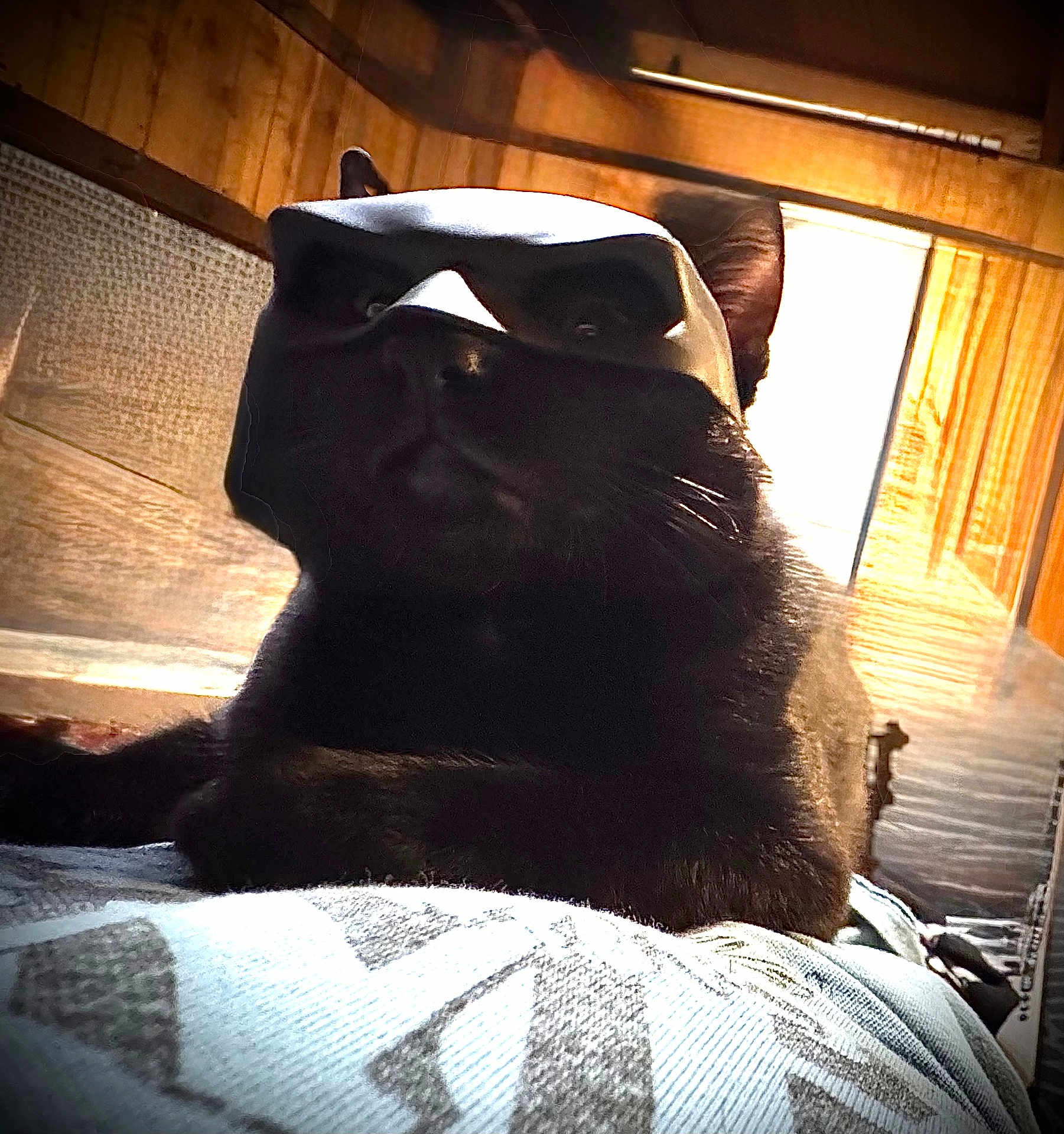 Merlin