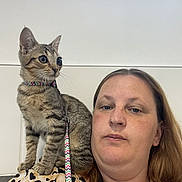 Nougat a rejoint le concours — aidez-le/la à gagner de superbes lots ! woman, cat, kitten, indoor, shoulder, patterned_clothing, collar, leash, tabby, pet, person, short_hair, light_skin, window, wall, seated, looking_away, animal, domestic, companion