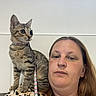 woman, cat, kitten, indoor, shoulder, patterned_clothing, collar, leash, tabby, pet, person, short_hair, light_skin, window, wall, seated, looking_away, animal, domestic, companion