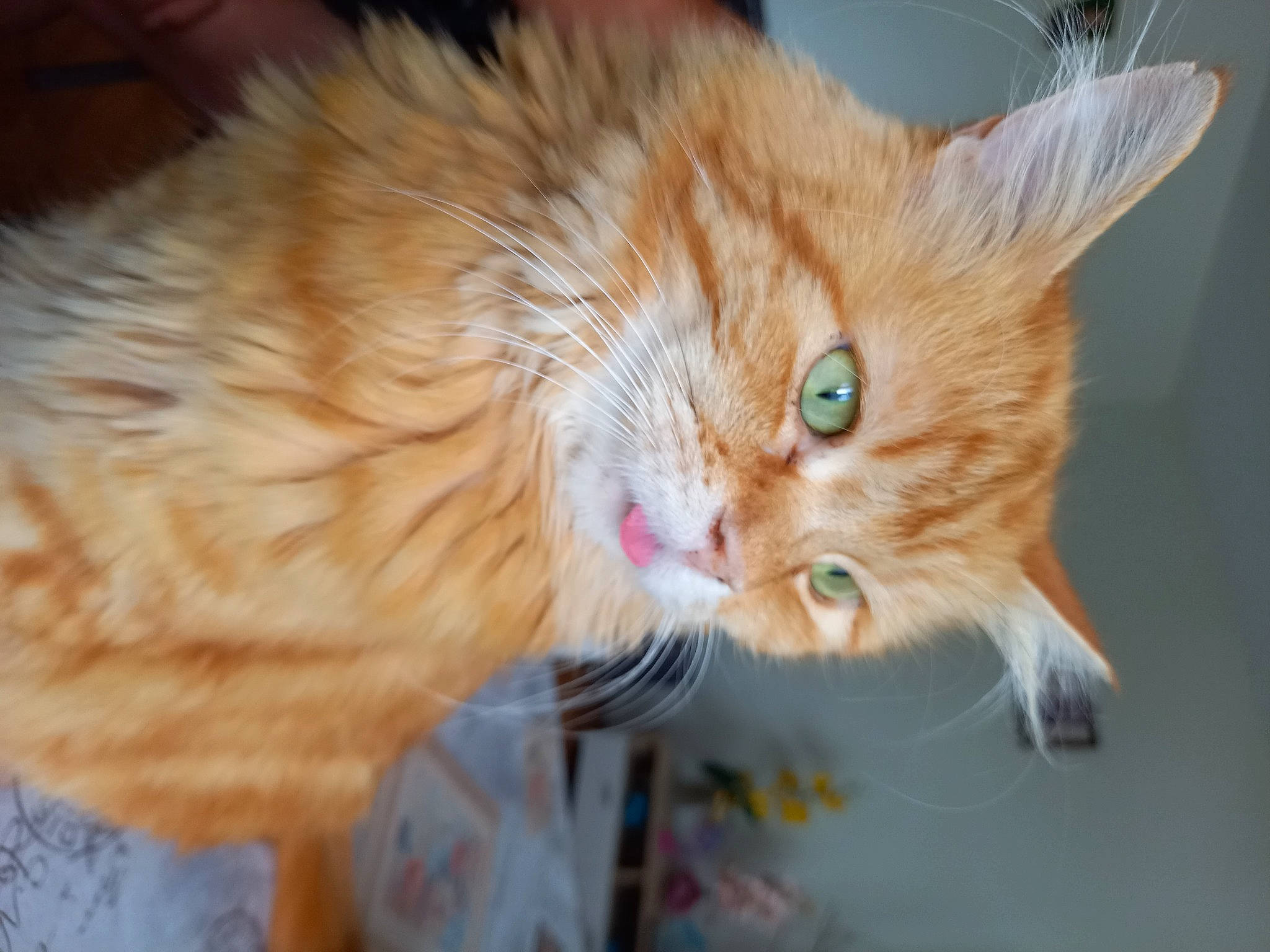 Roucky