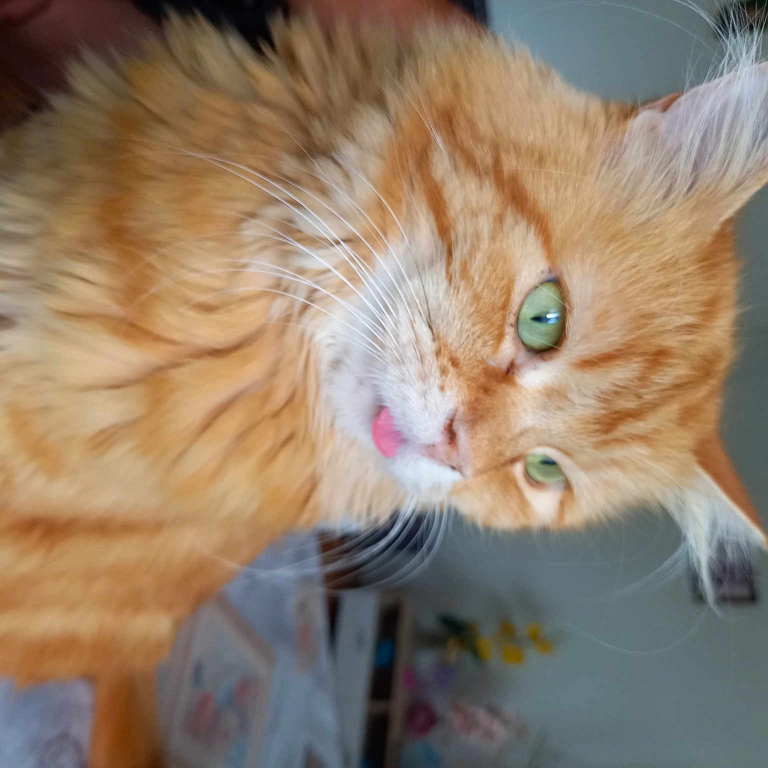 Roucky