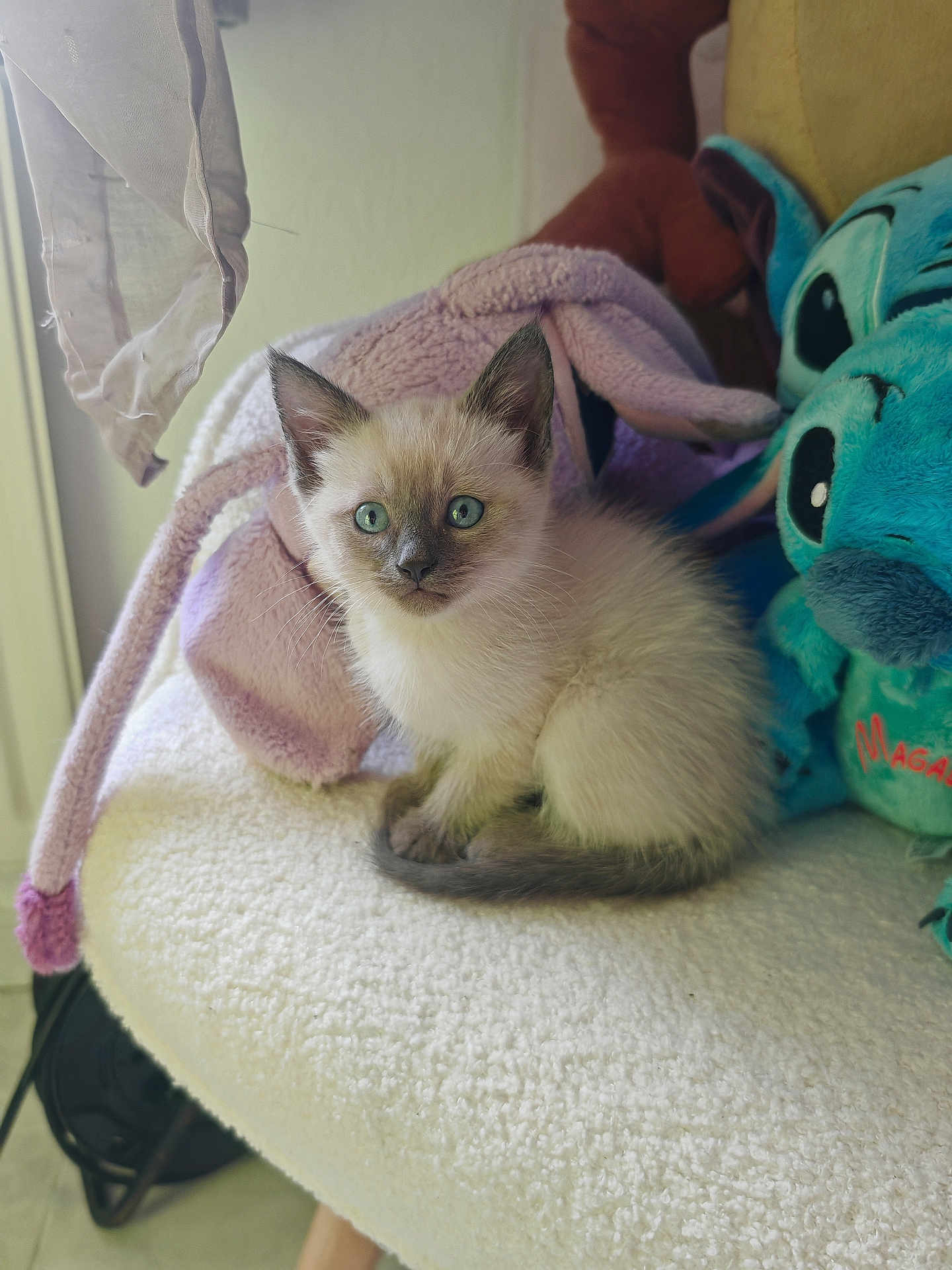 Angel
