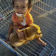Marcus is registered to the contest to win money with this photo: toddler, child, puppy, dog, shopping_cart, pacifier, clip, smiling, barefoot, outdoor, metal, grid, cute, pet, happy, young_child, playful, animal, infant, holding