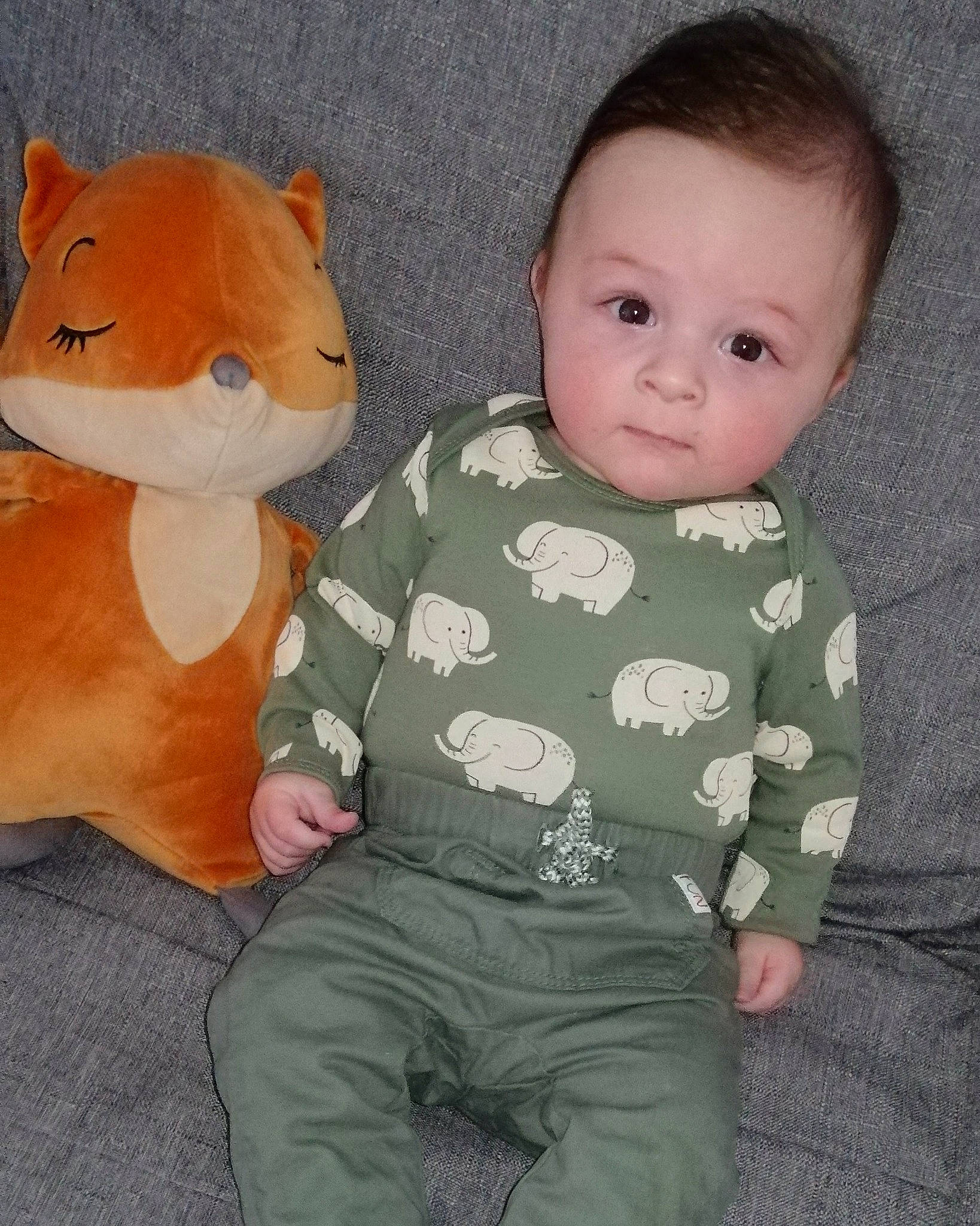 Léo participe au concours pour gagner de l'argent avec cette photo : baby, baby_toddler_clothing, carnivore, cheek, child, comfort, eye, face, facial_expression, fawn, head, nose, pattern, person, skin, sleeve, t_shirt, textile, toddler, toy