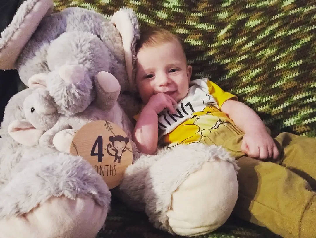 Alex is registered to the contest to win money with this photo: baby, baby_toddler_clothing, cheek, child, comfort, finger, gesture, hand, happy, human, nose, person, plant, skin, smile, stuffed_toy, teddy_bear, textile, thumb, toddler