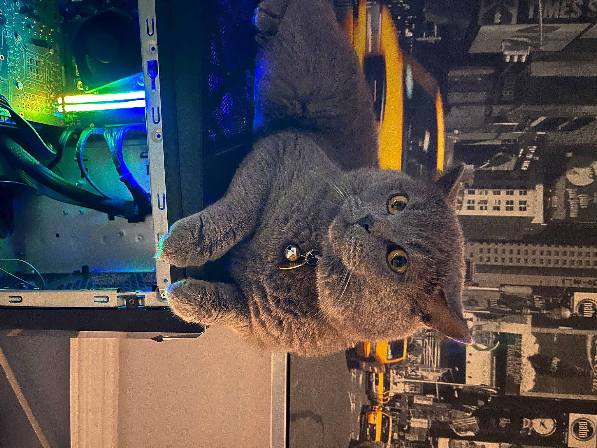 Joey joined the competition — help win amazing prizes! aerospace_engineering, art, automotive_tire, computer_hardware, display_device, electric_blue, engineering, entertainment, flat_panel_display, fun, lcd_tv, led_backlit_lcd_display, machine, metal, multimedia, space, television_set