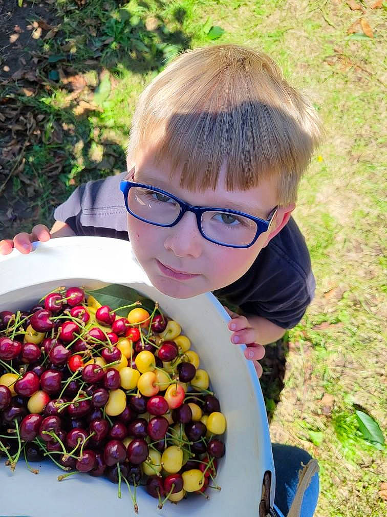 Blake joined the competition — help win amazing prizes! apple, bangs, eyewear, flowering_plant, food, fruit, glasses, goggles, grass, happy, leaf, natural_foods, people_in_nature, person, plant, produce, sunglasses, superfood, toddler, tree