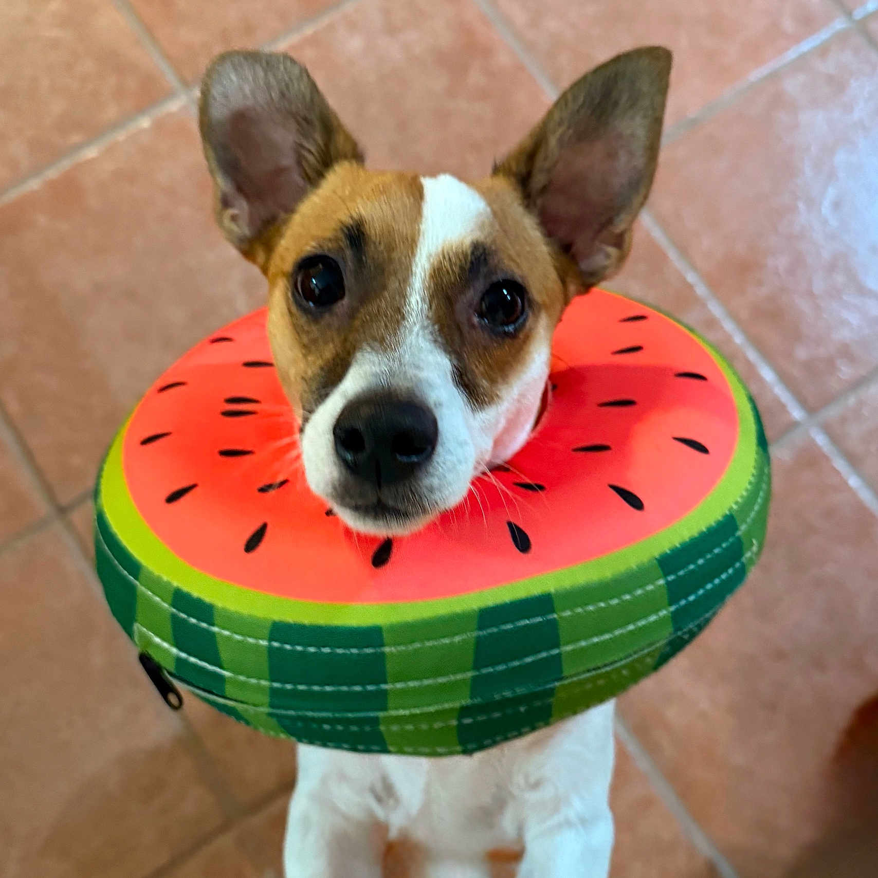 Max