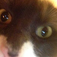 Yoda is registered to the contest to win money with this photo: