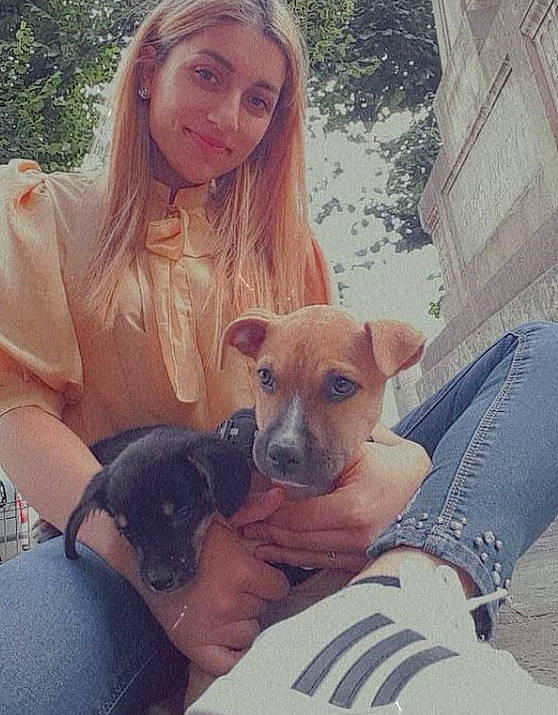 Bella a rejoint le concours — aidez-le/la à gagner de superbes lots ! carnivore, comfort, companion_dog, cool, dog, dog_breed, fawn, hand, happy, human_leg, lap, mammal, organ, selfie, sitting, smile, snout, thigh, tree, whiskers