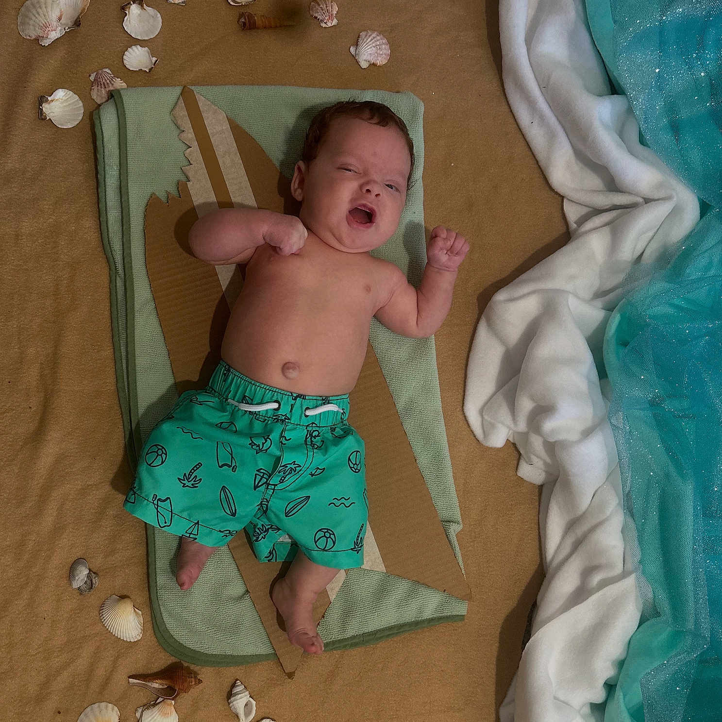 Mako joined the competition — help win amazing prizes! baby, bare_chest, blue, cardboard, child, cute, decorative, fabric, indoors, infant, lying_down, playful, relaxed, sand, seashells, shark_fin, summer_theme, swim_shorts, towel, white
