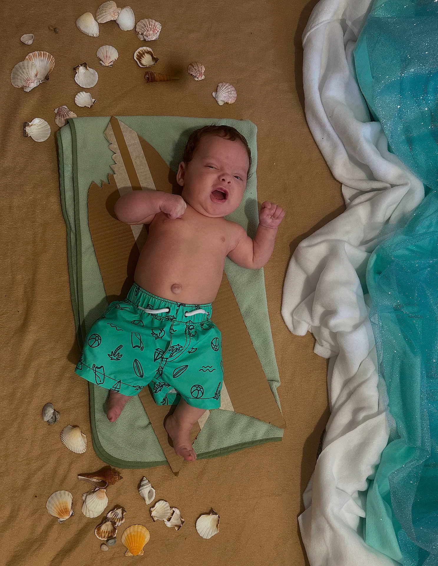 Mako joined the competition — help win amazing prizes! baby, child, swim_shorts, towel, cardboard, shark_fin, seashells, sand, fabric, blue, white, lying_down, indoors, playful, cute, infant, summer_theme, bare_chest, relaxed, decorative