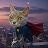 cat, superhero, costume, cape, cityscape, dusk, twilight, gargoyle, statue, fantasy, digital_art, animal, yellow_eyes, blue_suit, red_cape, urban, sky, moon, building, heroic_pose