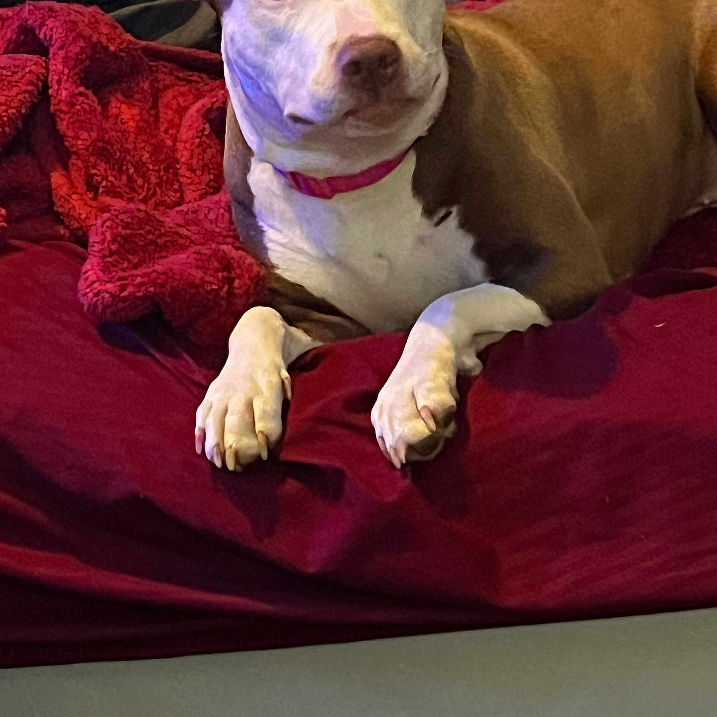 Baby Girl