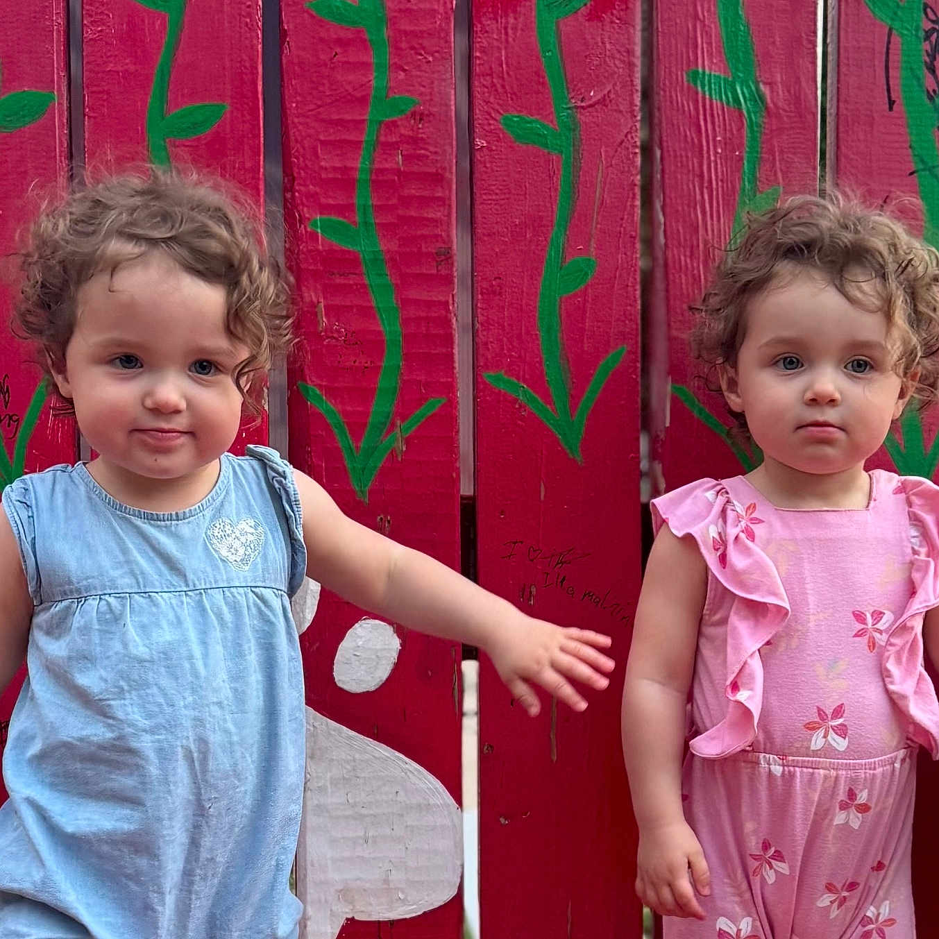 Emilia And Olivia joined the competition — help win amazing prizes! children, toddlers, twins, curly_hair, portrait, outdoor, pink_gate, painted_vines, garden, dresses, blue_dress, pink_dress, standing, faces, front_facing, siblings, playground, wooden_fence, daylight, photography