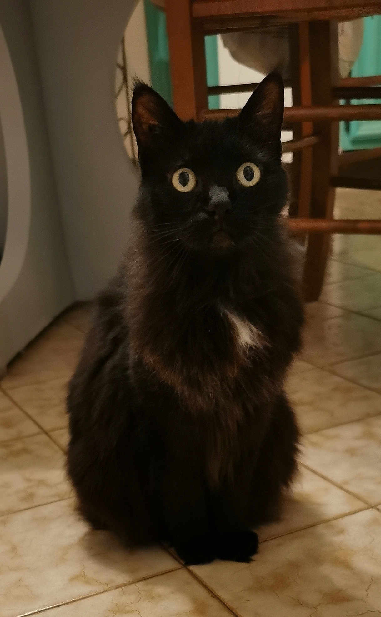 Onyx
