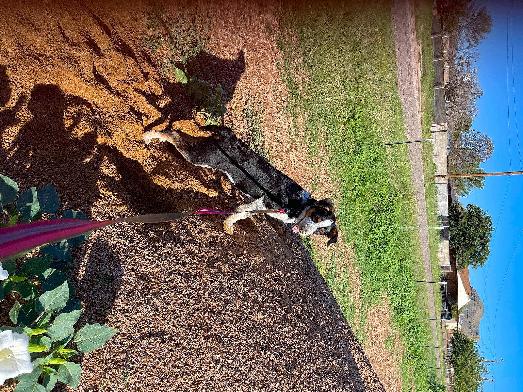 Naomi Jo joined the competition — help win amazing prizes! adaptation, art, door, grass, landscape, leisure, organism, people_in_nature, plant, rock, shadow, sky, soil, tints_and_shades, tree, trunk, visual_arts, wall, wood, world