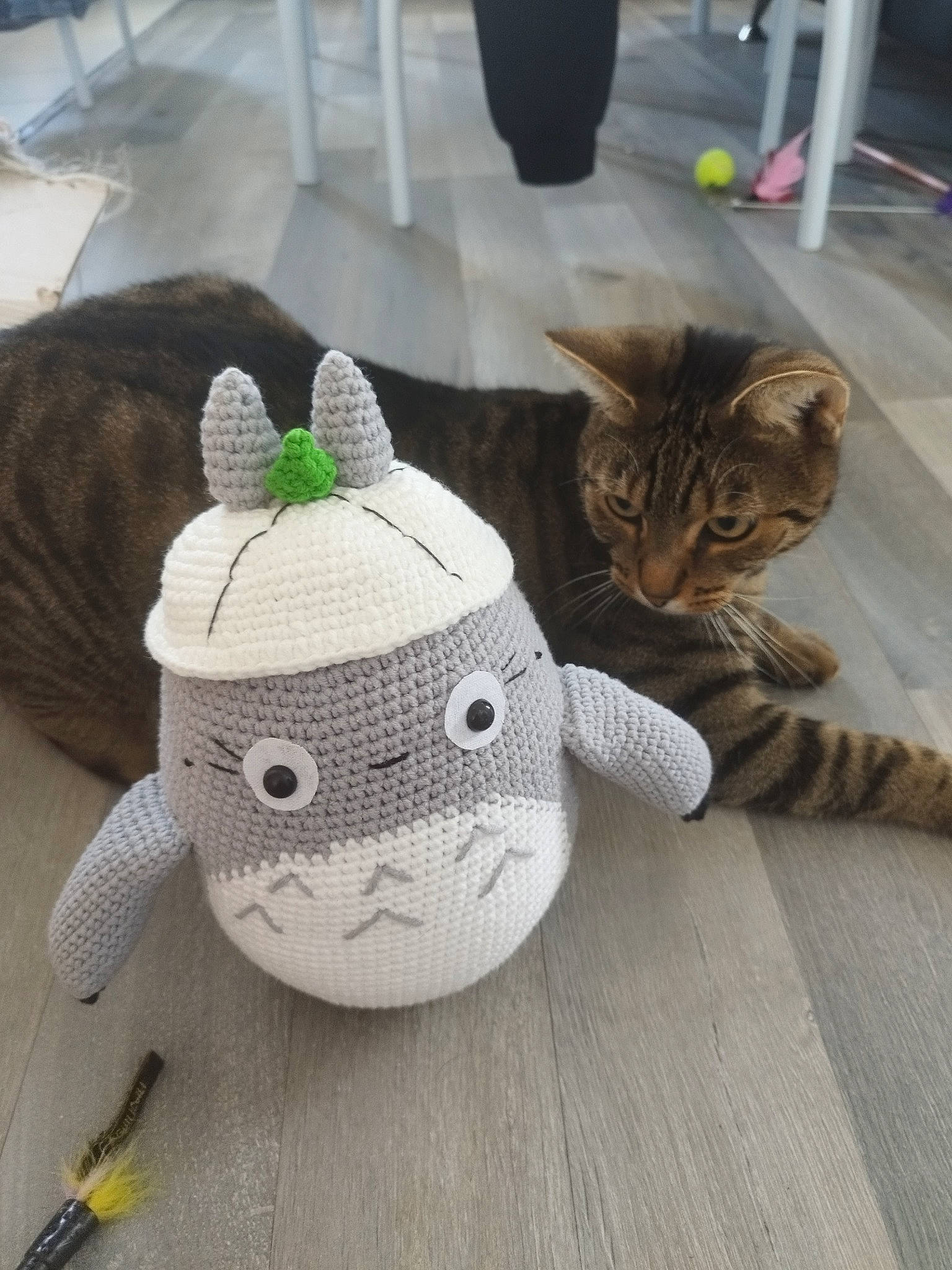 Totoro participe au concours pour gagner de l'argent avec cette photo : art, bag, cap, carnivore, cat, craft, creative_arts, domestic_short_haired_cat, fashion_accessory, fawn, felidae, flooring, grey, human_leg, small_to_medium_sized_cats, stuffed_toy, tail, toy, whiskers, wood