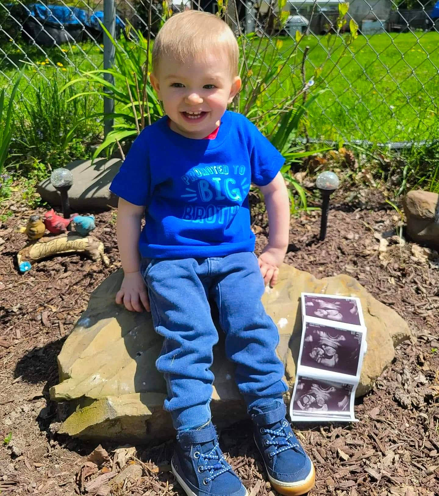 Damien is registered to the contest to win money with this photo: annual_plant, baby_toddler_clothing, child, denim, electric_blue, fun, garden, gardening, grass, joy, landscape, leaf, people_in_nature, person, plant, play, sitting, smile, soil, t_shirt
