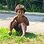 child, boy, outdoor, grass, greenery, road, shirtless, serious_expression, nature, tree, fence, sunlight, casual, young, curly_hair, summer, playing, park, daytime, candid
