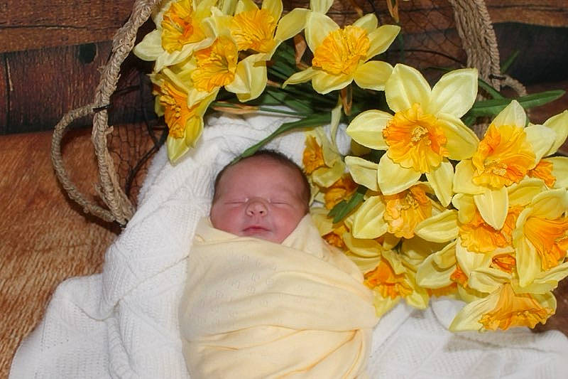 Layla is registered to the contest to win money with this photo: artificial_flower, baby, baby_sleeping, bedding, bouquet, comfort, cut_flowers, event, floral_design, floristry, flower, flower_arranging, linens, nap, peach, person, petal, plant, room, toddler