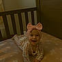 Beatrice is registered to the contest to win money with this photo: baby, baby_clothes, bed, blanket, child, crawling, crib, cute, floral_pattern, happy, headband, indoors, infant, person, pink_bow, room, sleepwear, smiling, soft_lighting, wooden_furniture