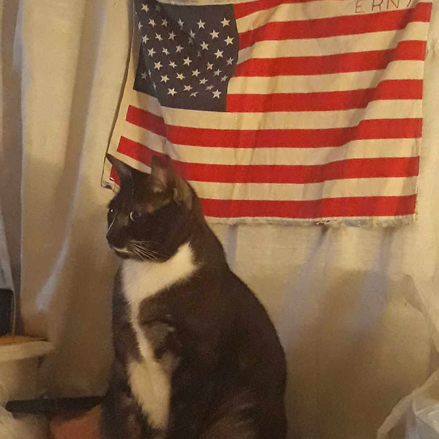 Snickers