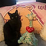 black_cat, stuffed_animal, giraffe_toy, heart, bed, blanket, cartoon, pink, yellow_eyes, plush, cute, indoor, cozy, pet, animal, soft_toy, sitting, furniture, window, curtain